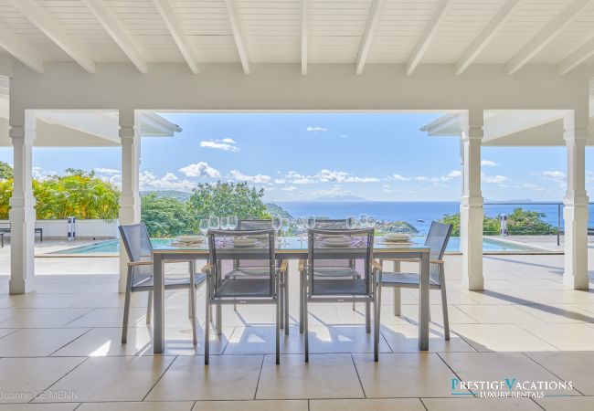 Villa in Saint Barthélemy - Cactus