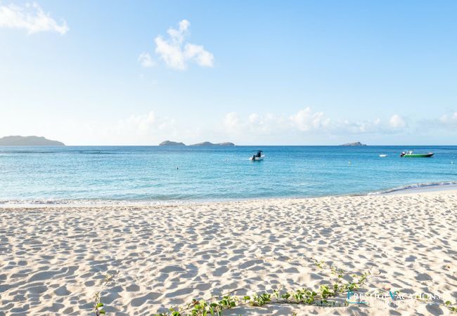 Villa in Saint Barthélemy - Caza Lili