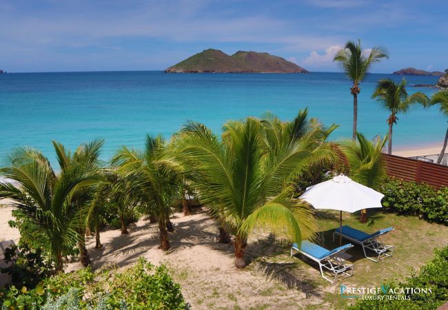 Villa in Saint Barthélemy - Celina