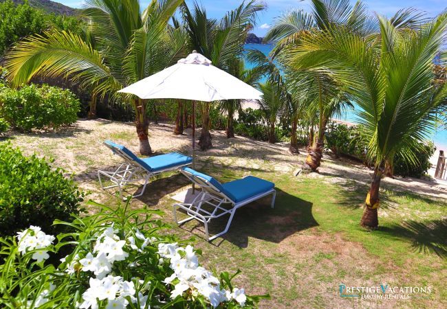 Villa in Saint Barthélemy - Celina