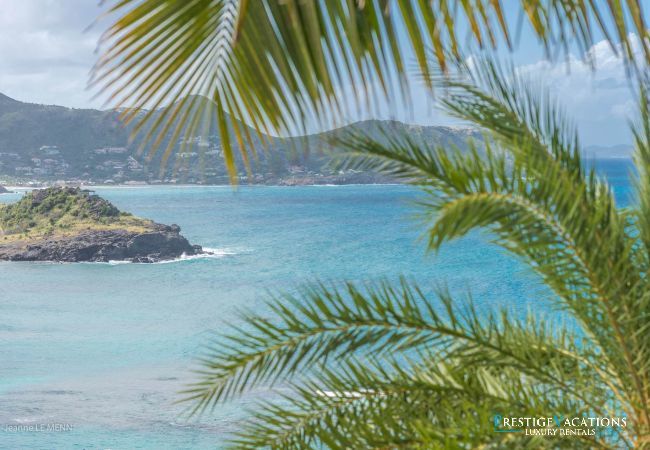 Villa in Saint Barthélemy - Coco