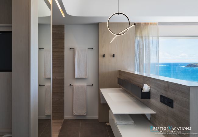 Villa in Saint Barthélemy - Domingue