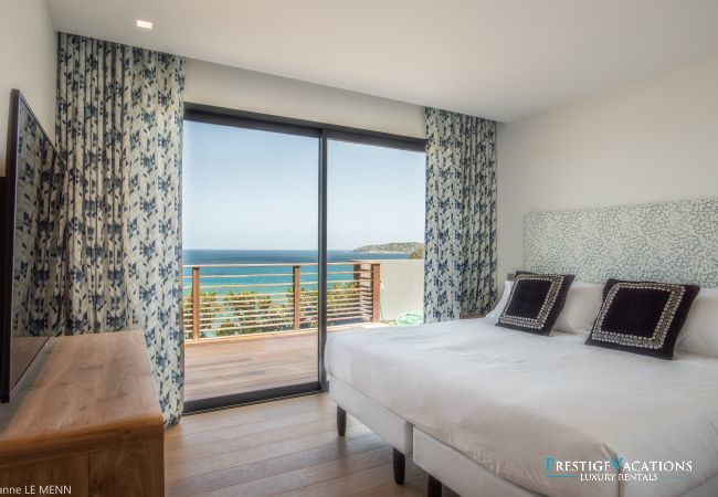 Villa in Saint Barthélemy - Firefly