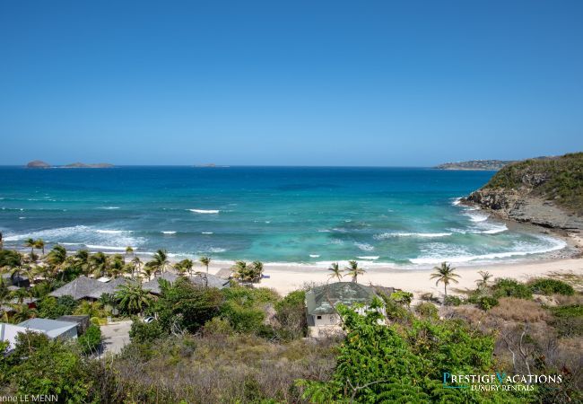 Villa in Saint Barthélemy - Firefly