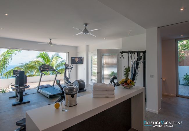Villa in Saint Barthélemy - Ginger