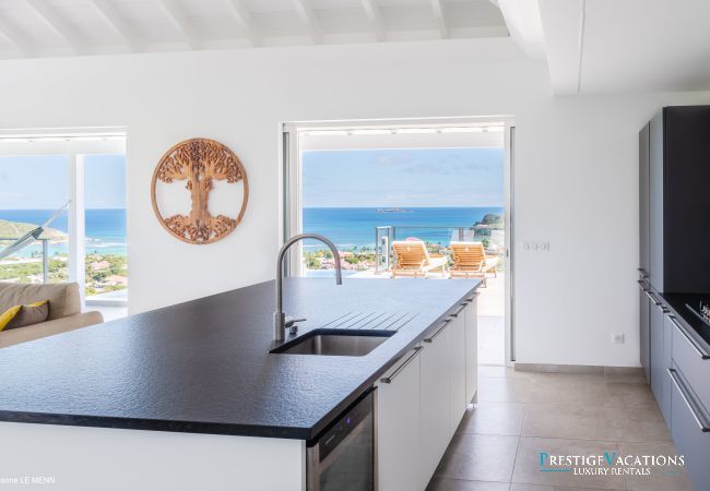 Villa in Saint Barthélemy - L'Oiseau Bleu