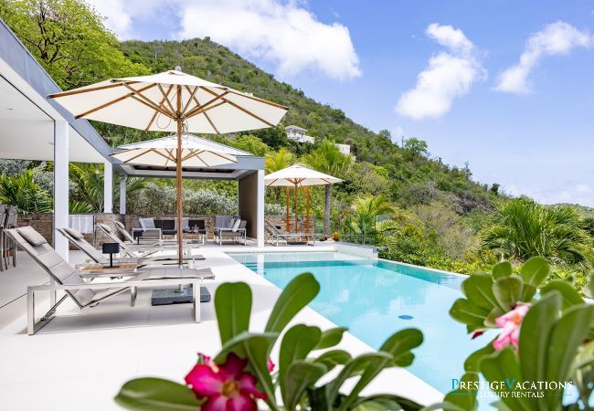 Villa in Saint Barthélemy - Lao