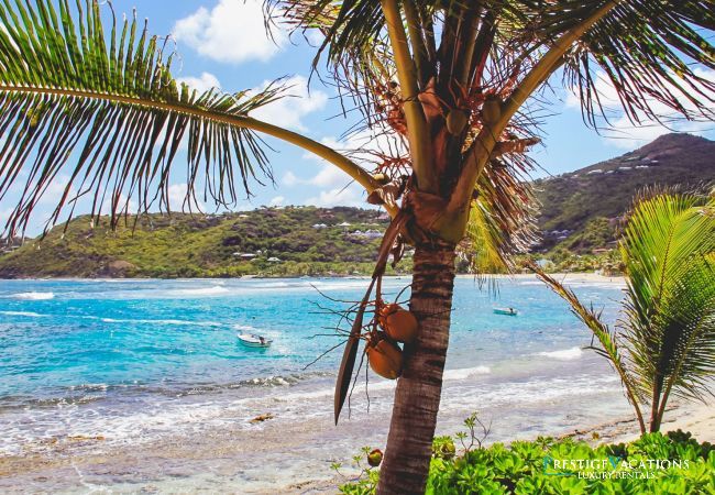 Villa in Saint Barthélemy - Les Sables