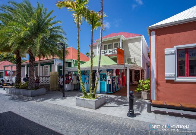 Apartment in Saint Barthélemy - Rive Gauche