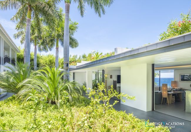 Villa in Saint Barthélemy - Roxane