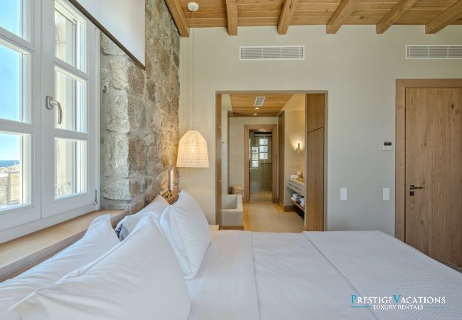 Villa in Mykonos - Mavi