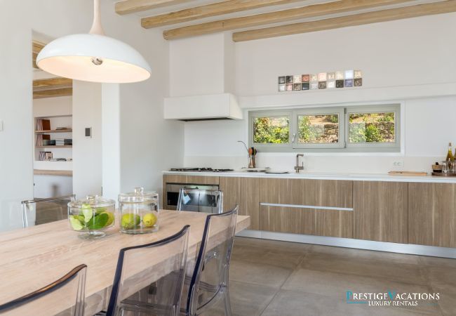 Villa in Mykonos - Delano