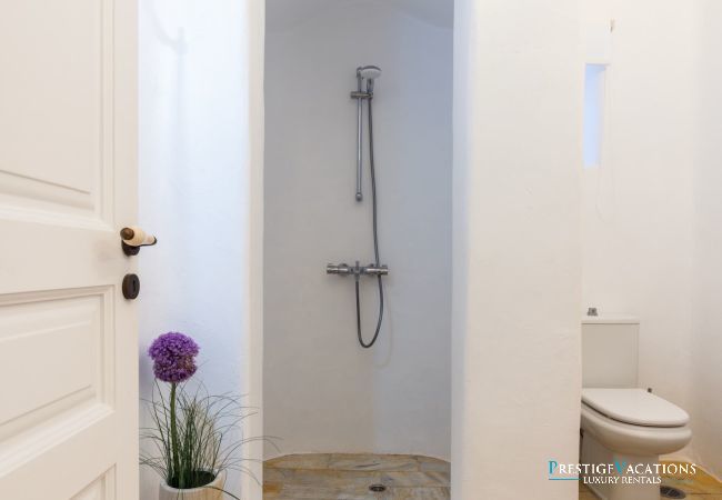 Villa in Mykonos - Artisti