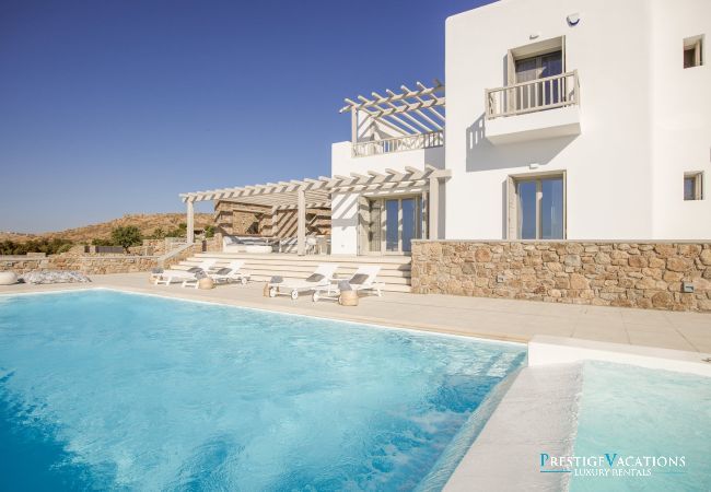 Villa in Mykonos - Demeter