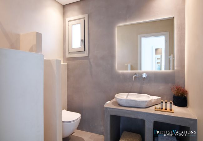 Villa in Mykonos - Demeter
