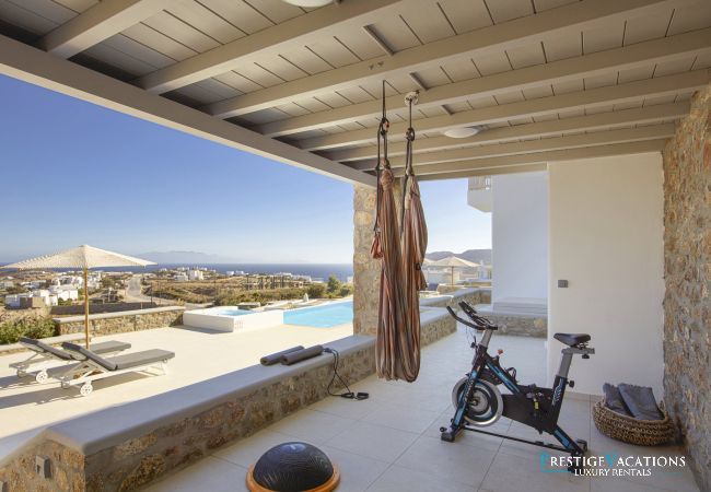 Villa in Mykonos - Demeter