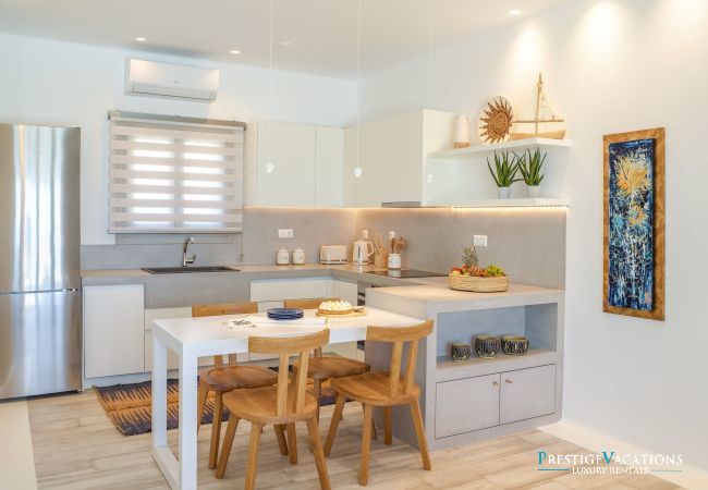 Villa in Mykonos - Demeter