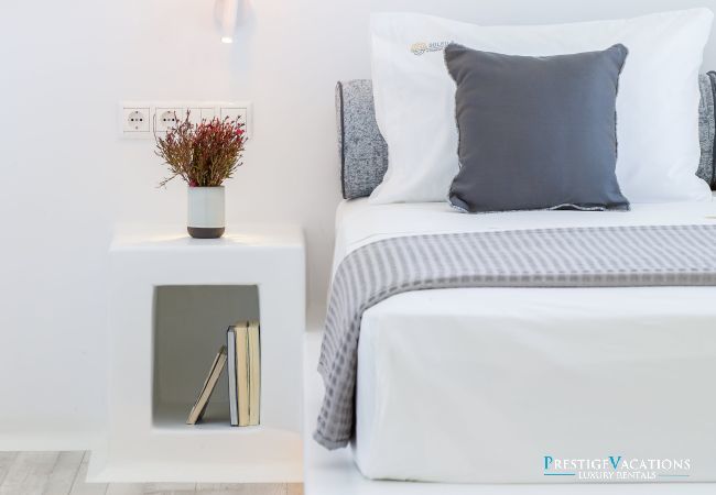 Villa in Mykonos - Demeter
