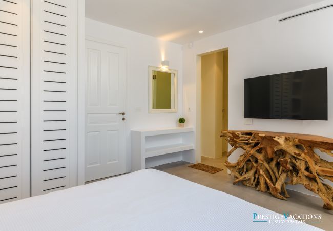 Villa in Mykonos - Nerovino