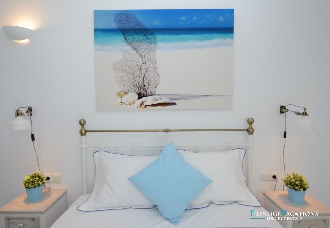 Villa in Mykonos - Danielina