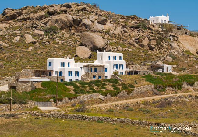Villa in Mykonos - Tranquil Villa 4