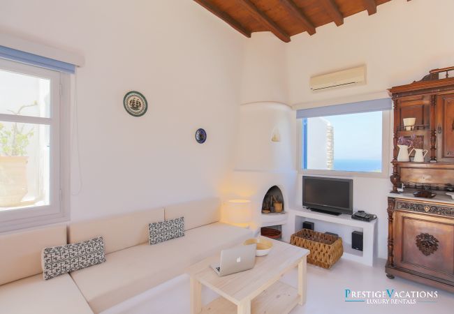 Villa in Mykonos - Phaedra