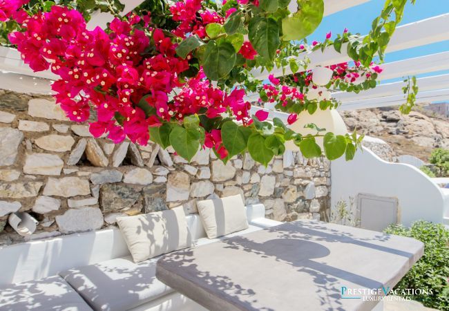 Villa in Mykonos - Phaedra