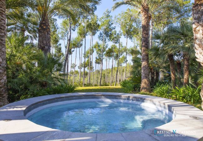 Villa in Ibiza / Eivissa - Eden