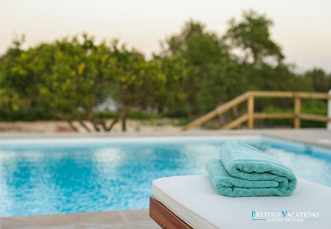 Villa in Ibiza / Eivissa - Fabienne
