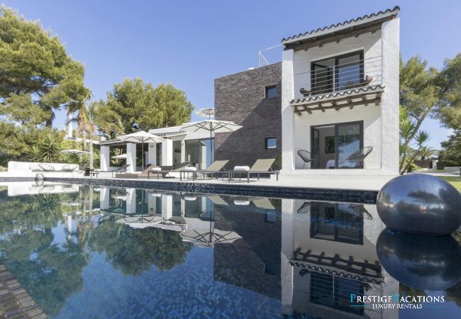 Villa in Ibiza / Eivissa - Es Vedra Style