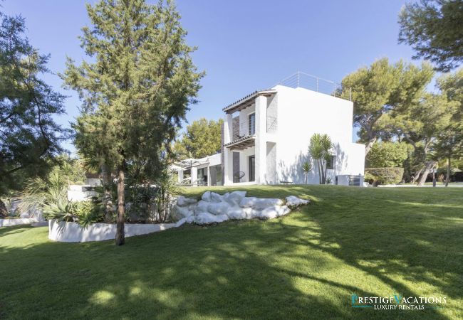 Villa in Ibiza / Eivissa - Es Vedra Style