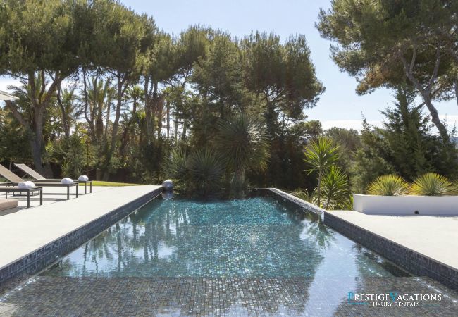 Villa in Ibiza / Eivissa - Es Vedra Style