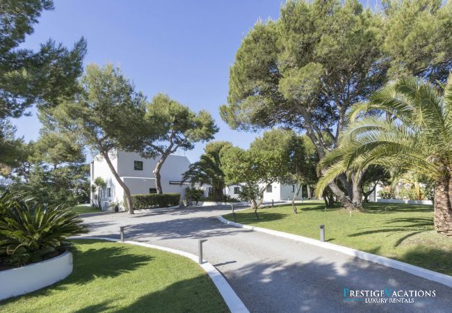 Villa in Ibiza / Eivissa - Es Vedra Style