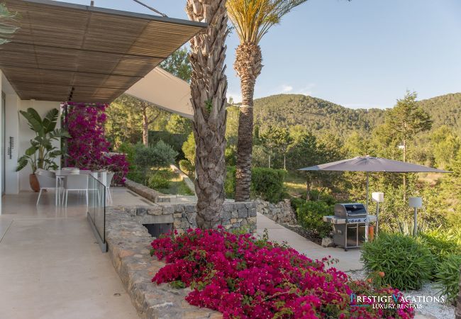 Villa in Ibiza / Eivissa - Oasis Ibiza