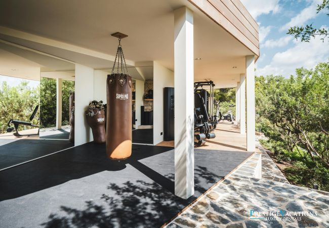 Villa in Ibiza / Eivissa - Ocean Paradise