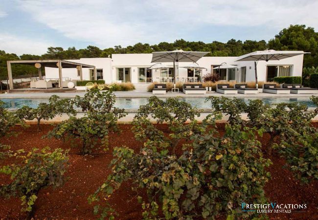 Villa in Ibiza / Eivissa - Sabrina