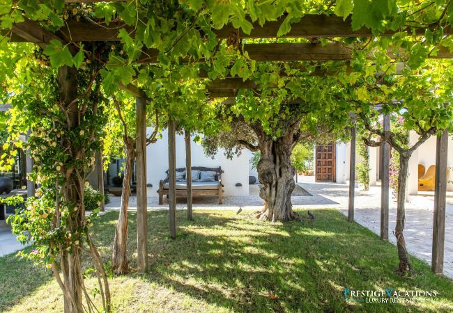 Villa in Ibiza / Eivissa - Viviana