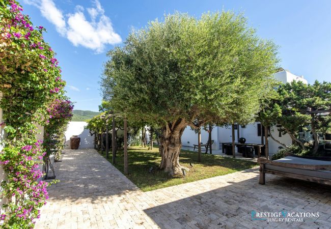 Villa in Ibiza / Eivissa - Viviana