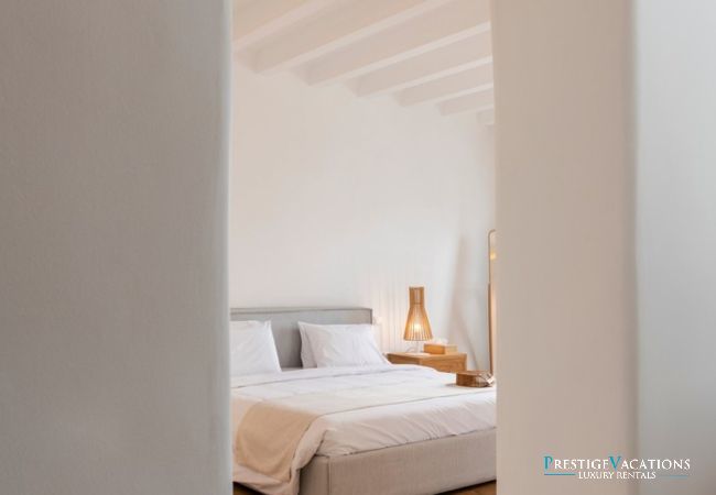 Villa in Mykonos - Lavan