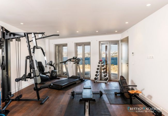 Villa in Mykonos - Lavan