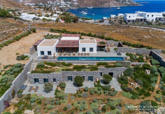 Villa in Mykonos - Mandra