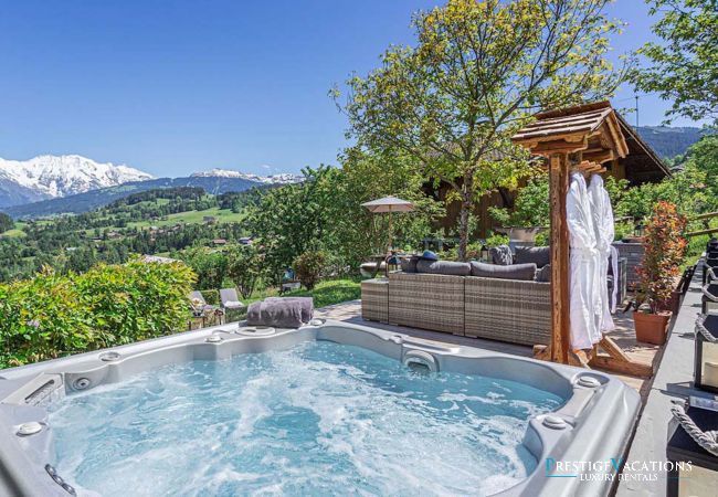 Chalet in Megève - Monique Chalet in Megève - Monique