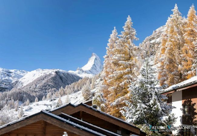 Chalet in Zermatt - Harebells Chalet in Zermatt - Harebells