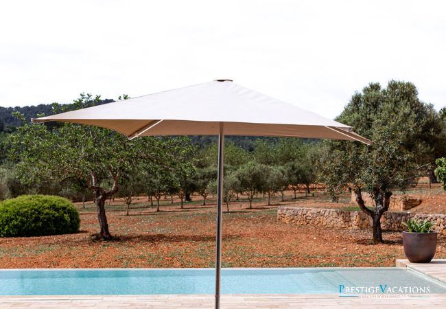 Villa in Ibiza / Eivissa - Can Rafalet