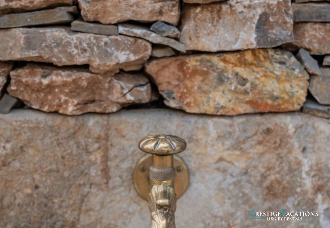 Villa in Saint Remy de Provence - Bastidon