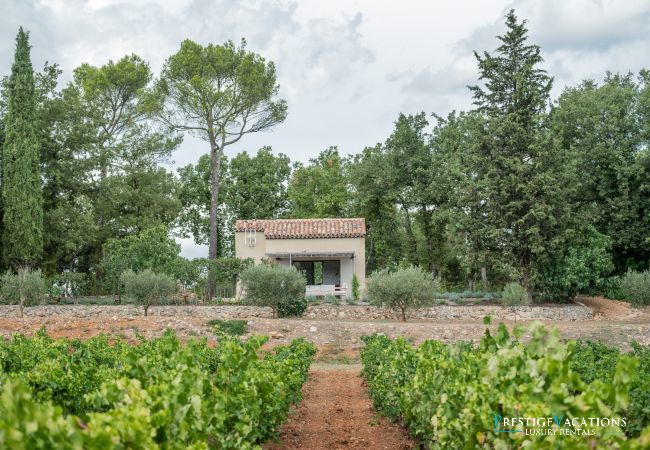 Villa in Saint Remy de Provence - Bastidon
