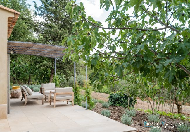 Villa in Saint Remy de Provence - Bastidon