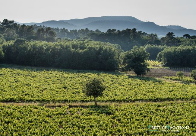 Villa in Saint Remy de Provence - Bastidon