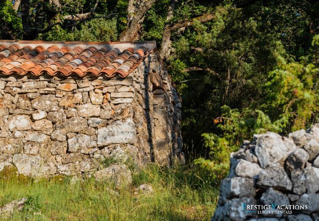 Villa in Saint Remy de Provence - Bastidon