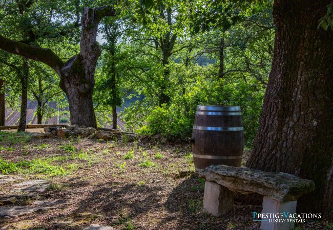 Villa in Saint Remy de Provence - Bergerie Aquino